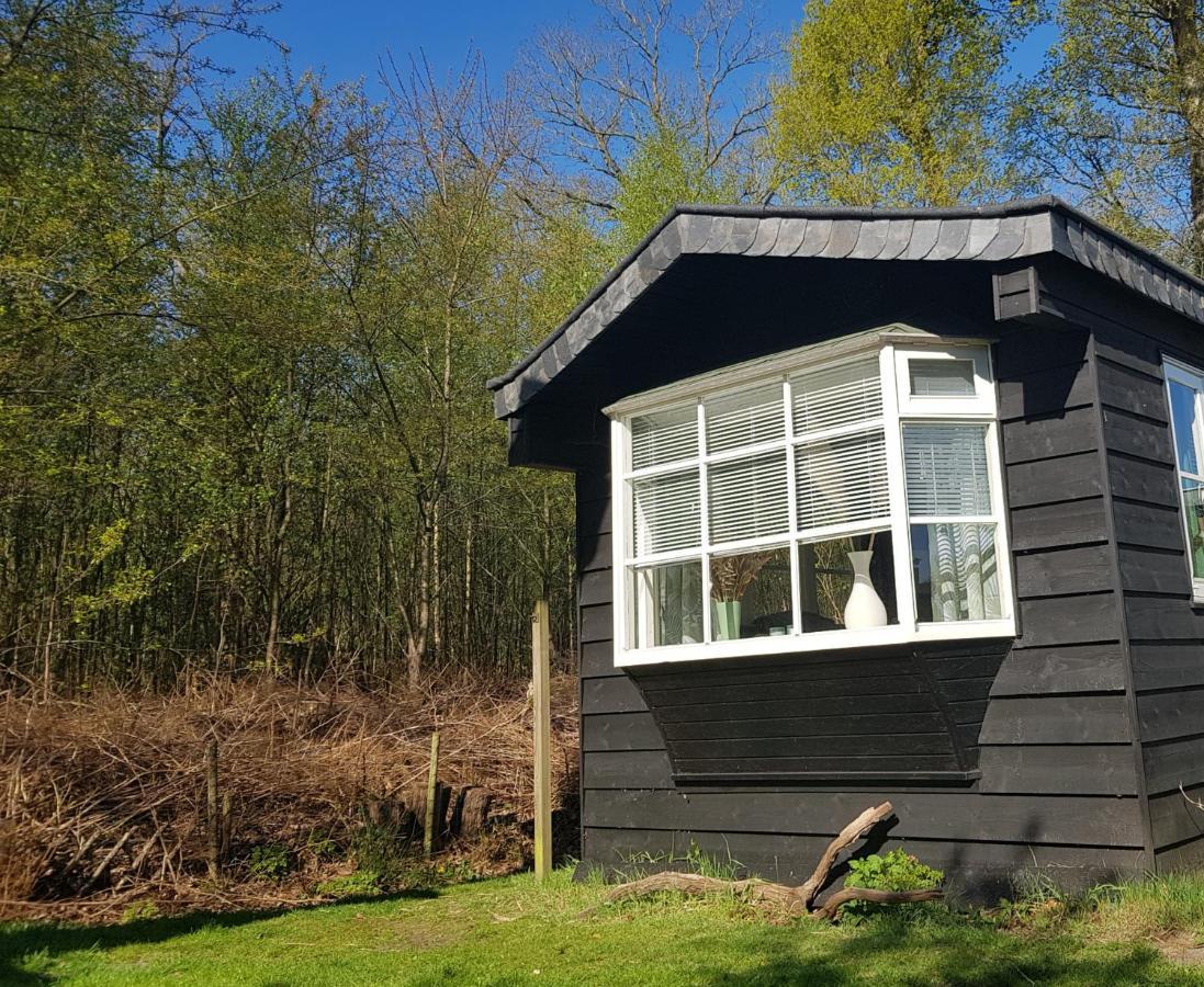 Chalet 2 Pers Met Hottub - Aan De Bosrand - Ijsselmeer - Gaasterland - Bos Rijs Exteriör bild